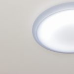 シーリングライトの中で死んでる小さい謎の虫は一体何なのか、理由は？