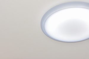 シーリングライトの中で死んでる小さい謎の虫は一体何なのか、理由は？