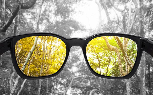 あなたの目は大丈夫？色盲チェック