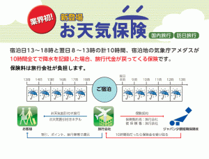 あまり知られていない珍しいユニークな保険まとめ