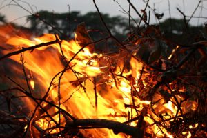 なぜ山火事は起こるのか