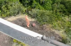 究極の時間泥棒！今ディスカバリーチャンネルが面白すぎる