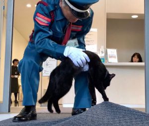死んだふりして館内に入ろうとする猫と警備員の飽くなき戦い