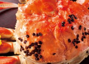 カニの甲羅についている黒い粒の正体とは