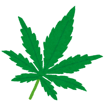 大麻（マリファナ）はなぜ違法なのか？医療用との違いは？