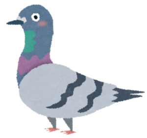 外から聞こえるホーホーッホホーという鳴き声の正体とは