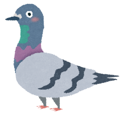 外から聞こえるホーホーッホホーという鳴き声の正体とは