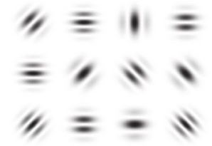 自力で視力回復？TVで紹介されたガボール・アイとは