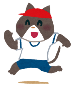 猫がめちゃくちゃ喜ぶお勧めおもちゃ・グッツまとめ５選